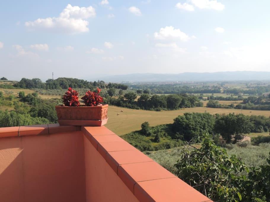 Photo of Others in Lidarno