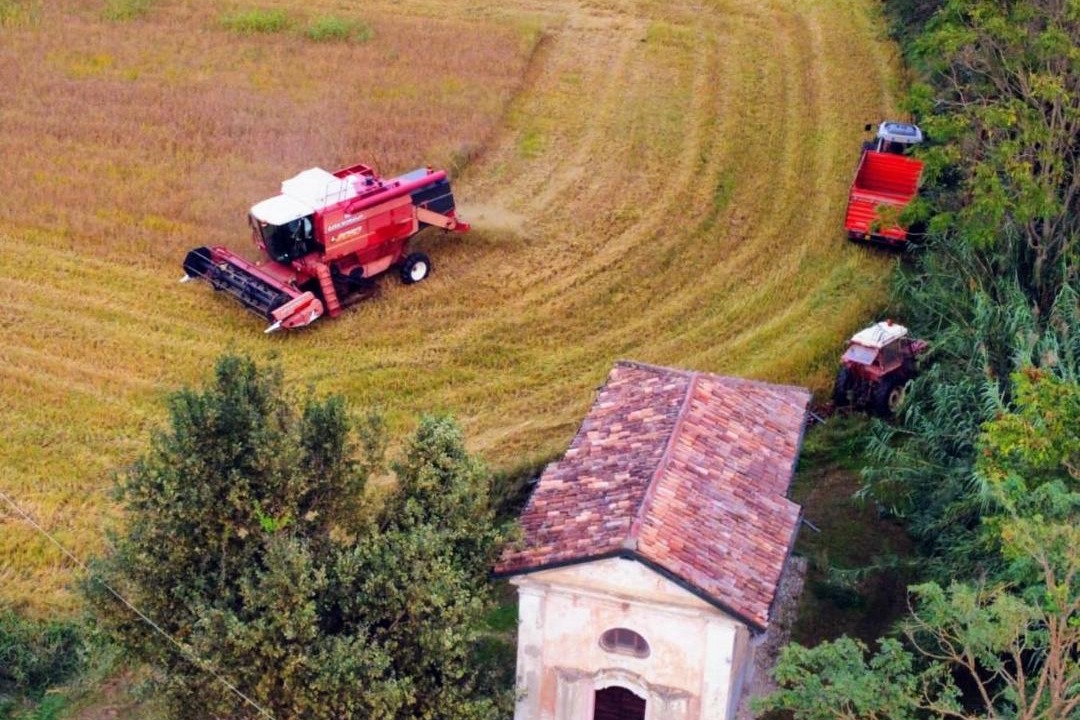Photo of Others in Vigevano