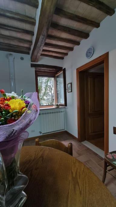 Photo of Others in Castel Viscardo