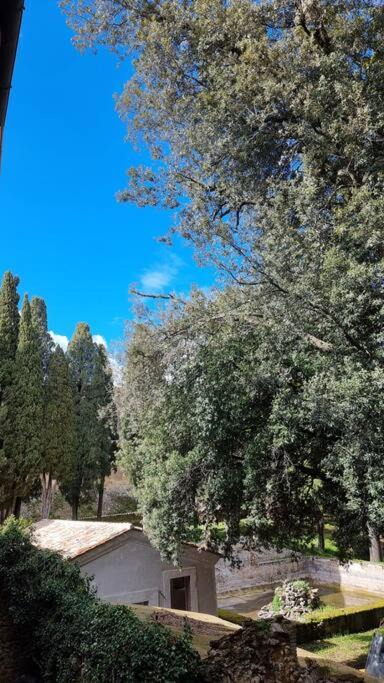 Photo of Others in Castel Viscardo