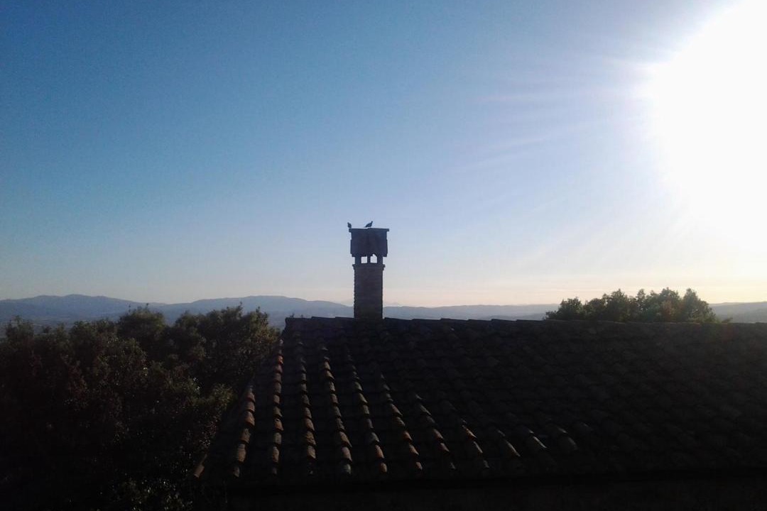 Photo of Outdoor in Roccastrada