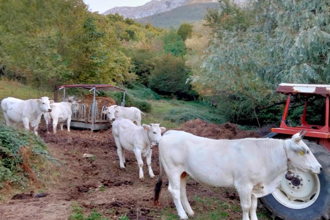Photo of Others in Arsita