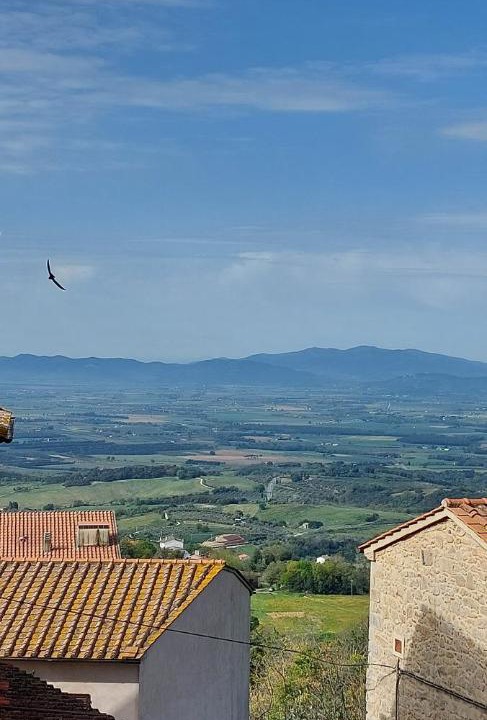 Photo of Others in Roccastrada