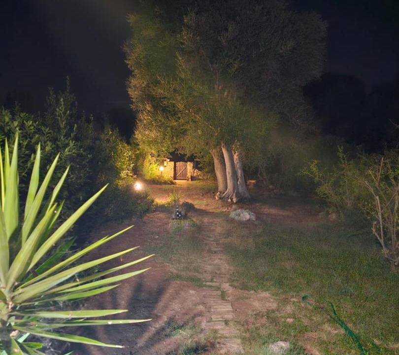 Photo of Others in Orbetello