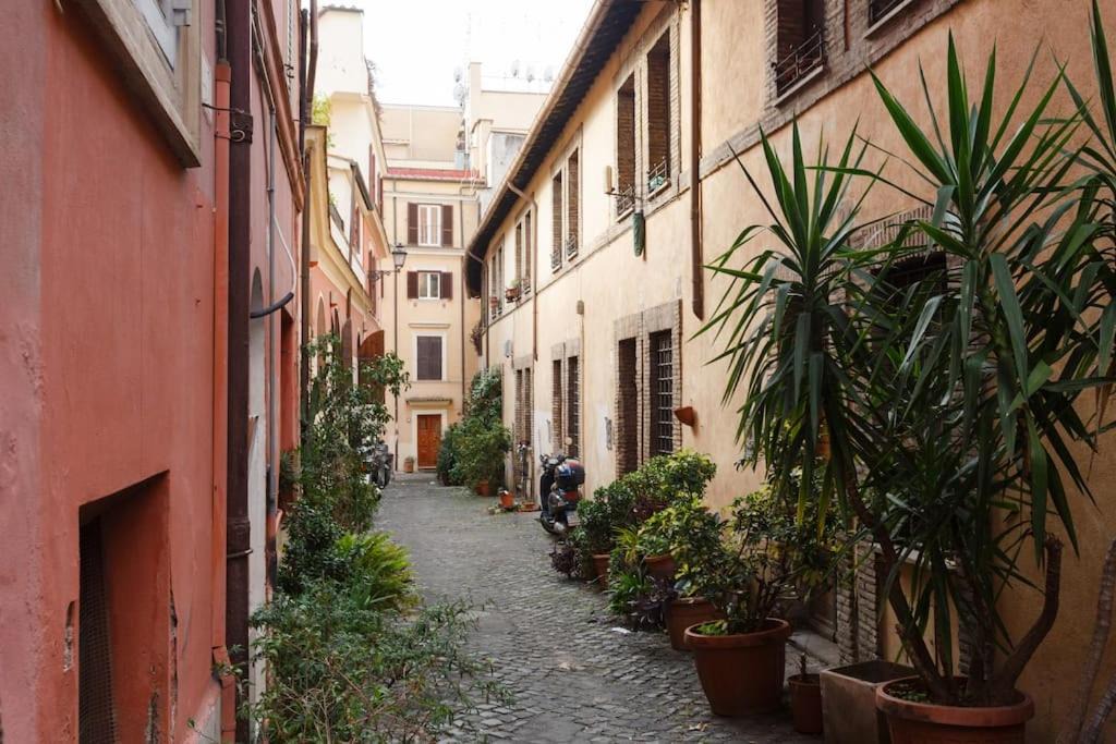 Photo of Others in Monti