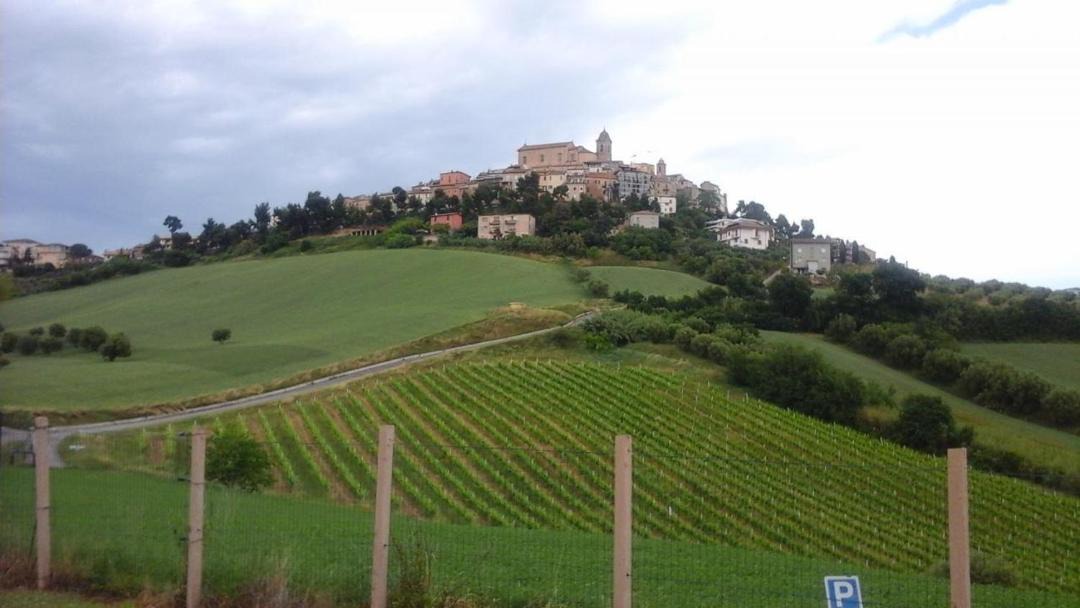 Photo of Others in Monteprandone