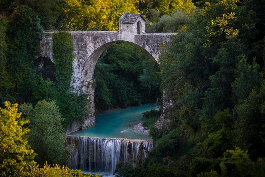 Photo of Others in Ascoli Piceno