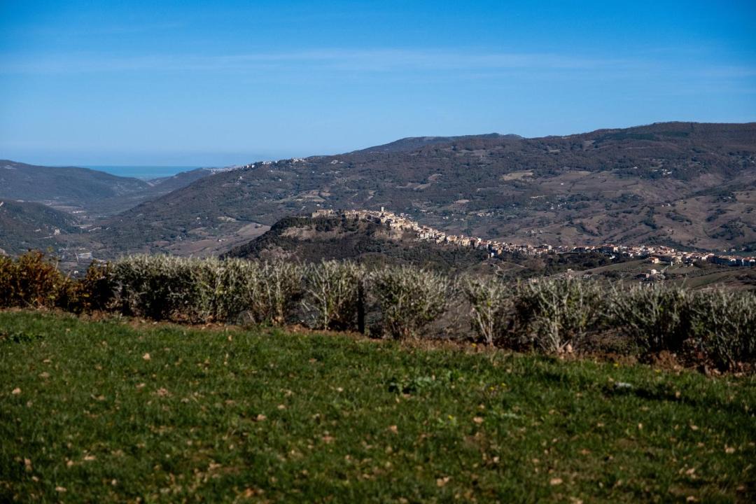 Photo of Others in Trivento