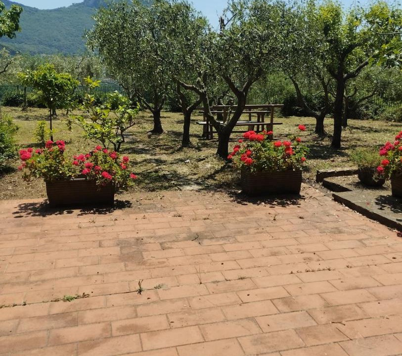 Photo of Others in Maratea