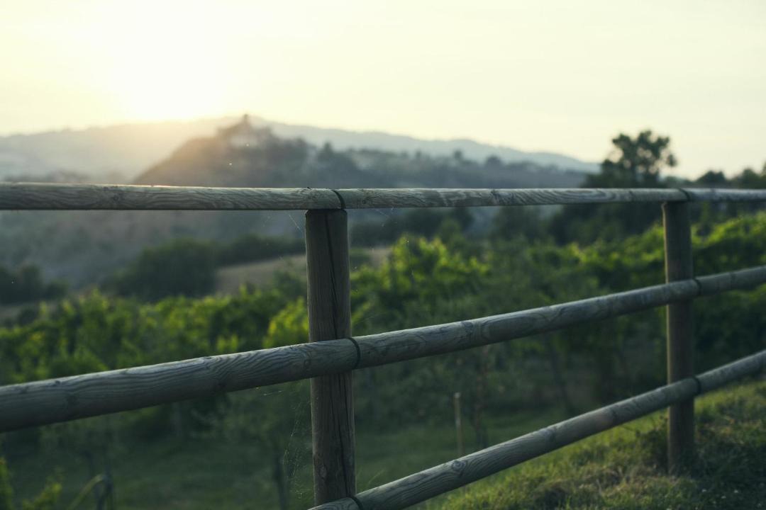 Photo of Others in Montetiffi