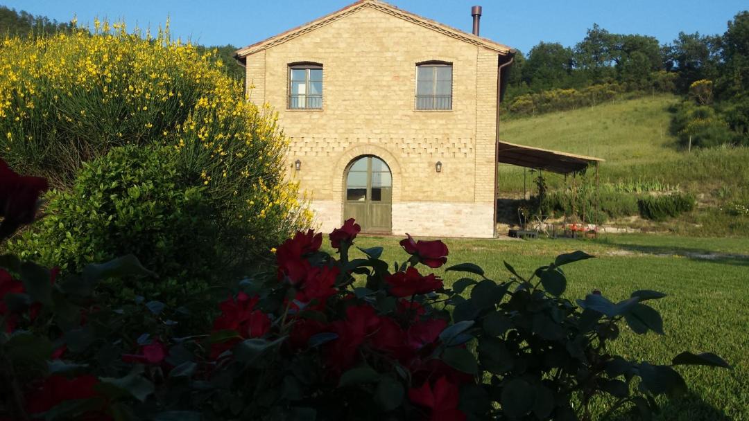 Photo of Others in Cagli