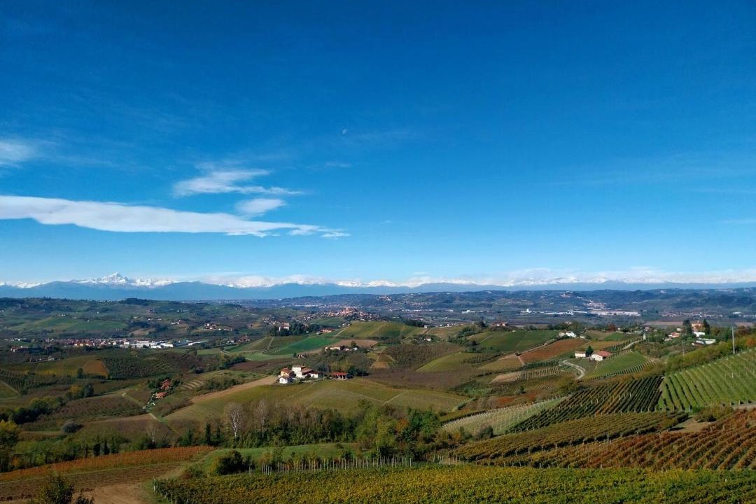 Photo of Others in Diano d'Alba