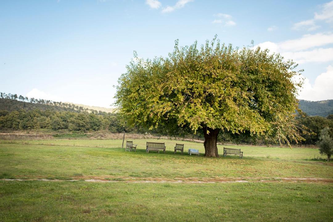 Photo of Others in Bolsena