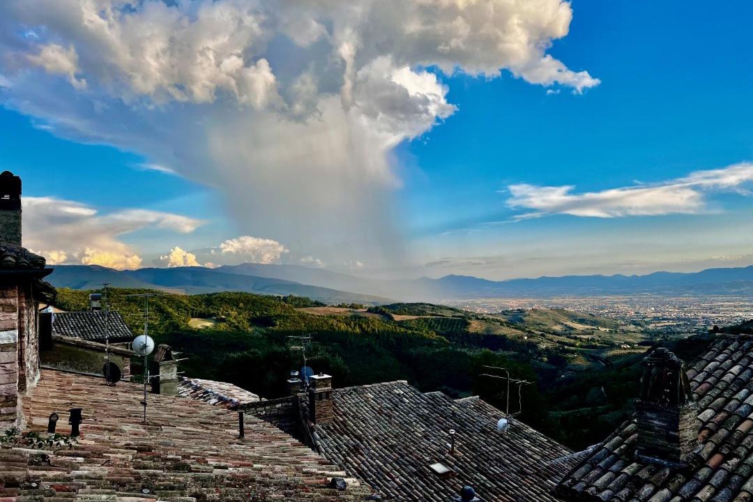 Photo of Others in Spello