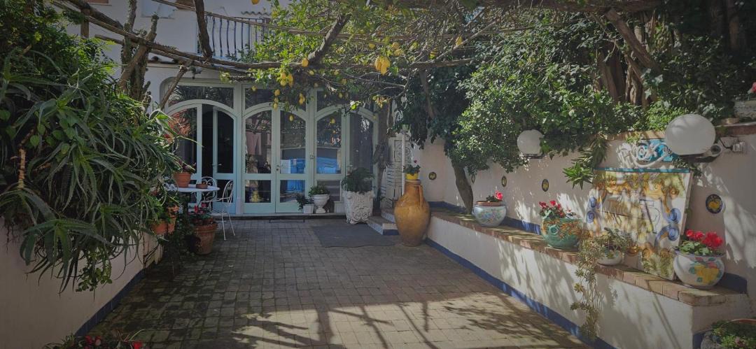 Photo of Others in Procida