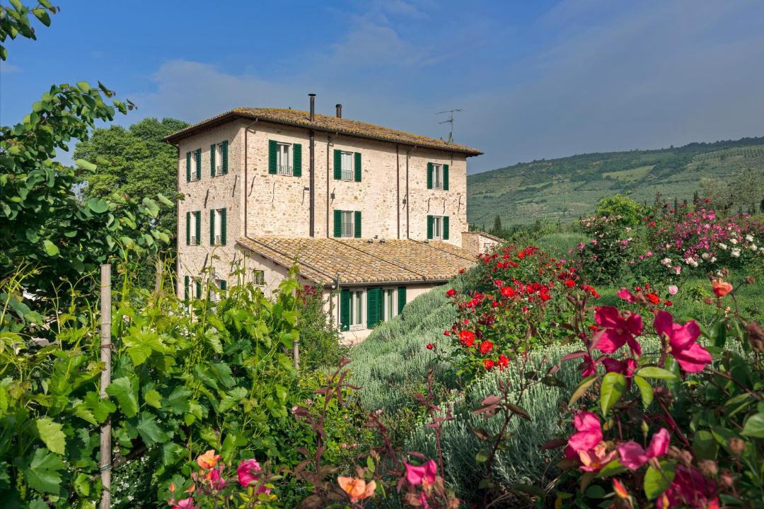 Photo of Others in Spello