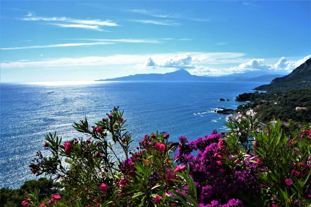 Photo of Others in Maratea