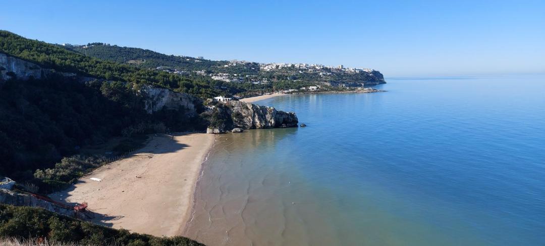 Photo of Others in Peschici