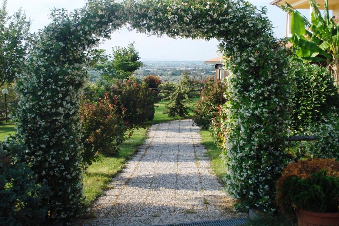 Photo of Outdoor in Viterbo