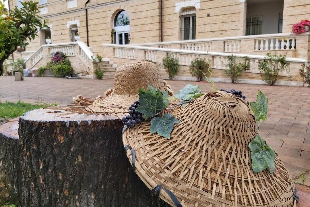 Photo of Others in Cossignano
