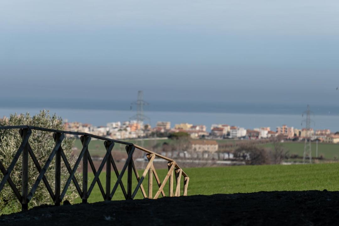 Photo of Others in Senigallia