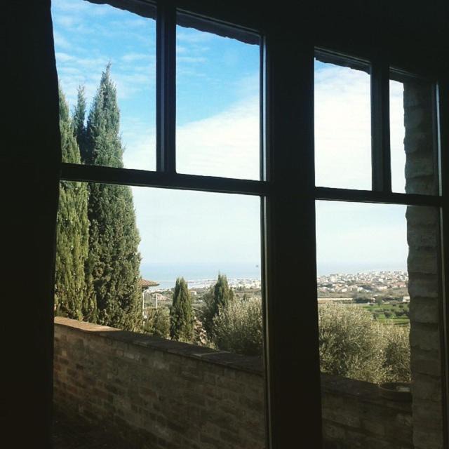 Photo of Others in Civitanova Marche