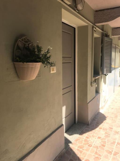 Photo of Others in Alessandria