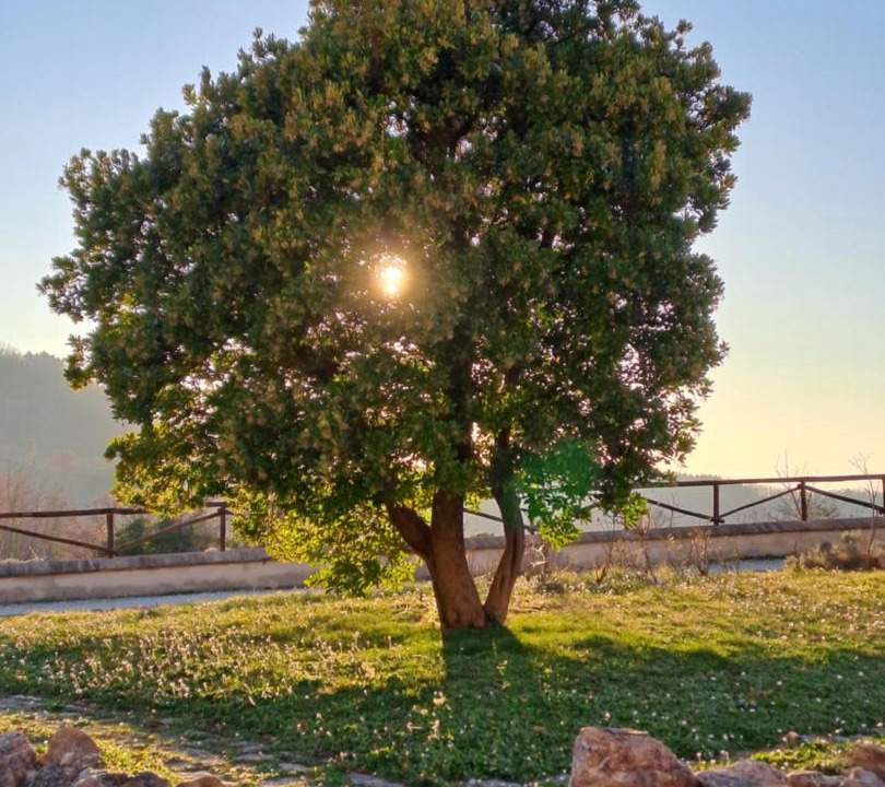 Photo of Others in Assisi