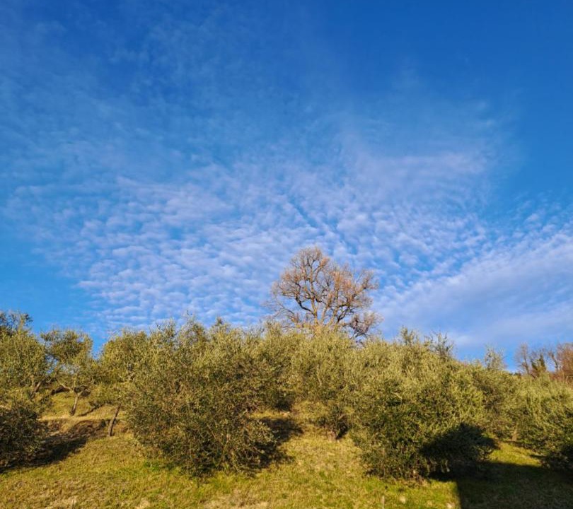 Photo of Others in Assisi