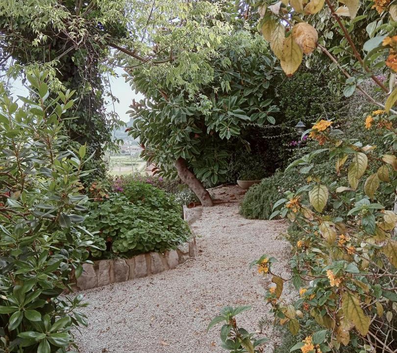 Photo of Others in Monte San Biagio
