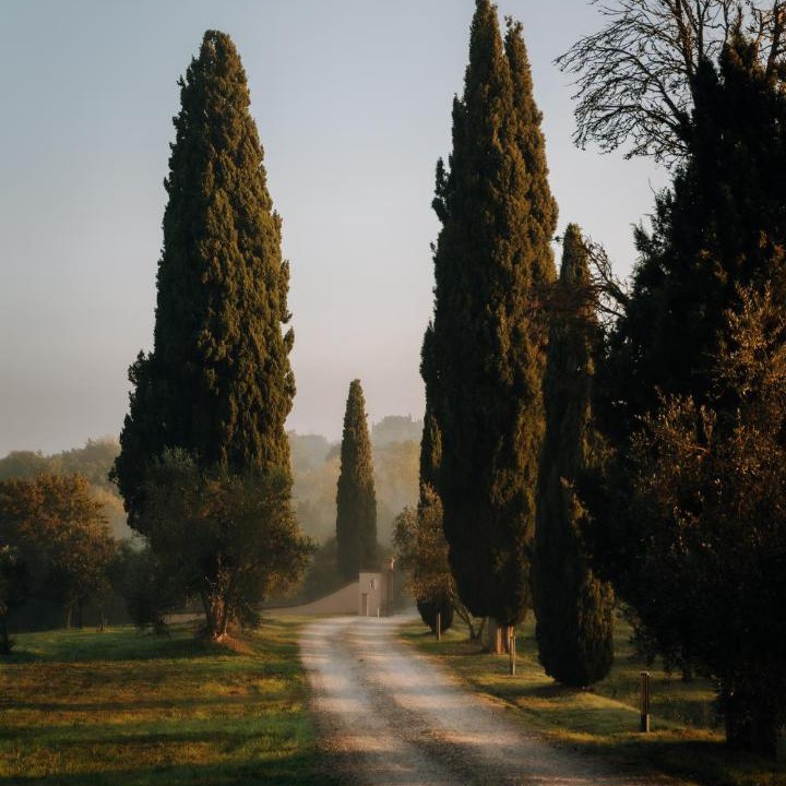 Photo of Others in Po' Bandino