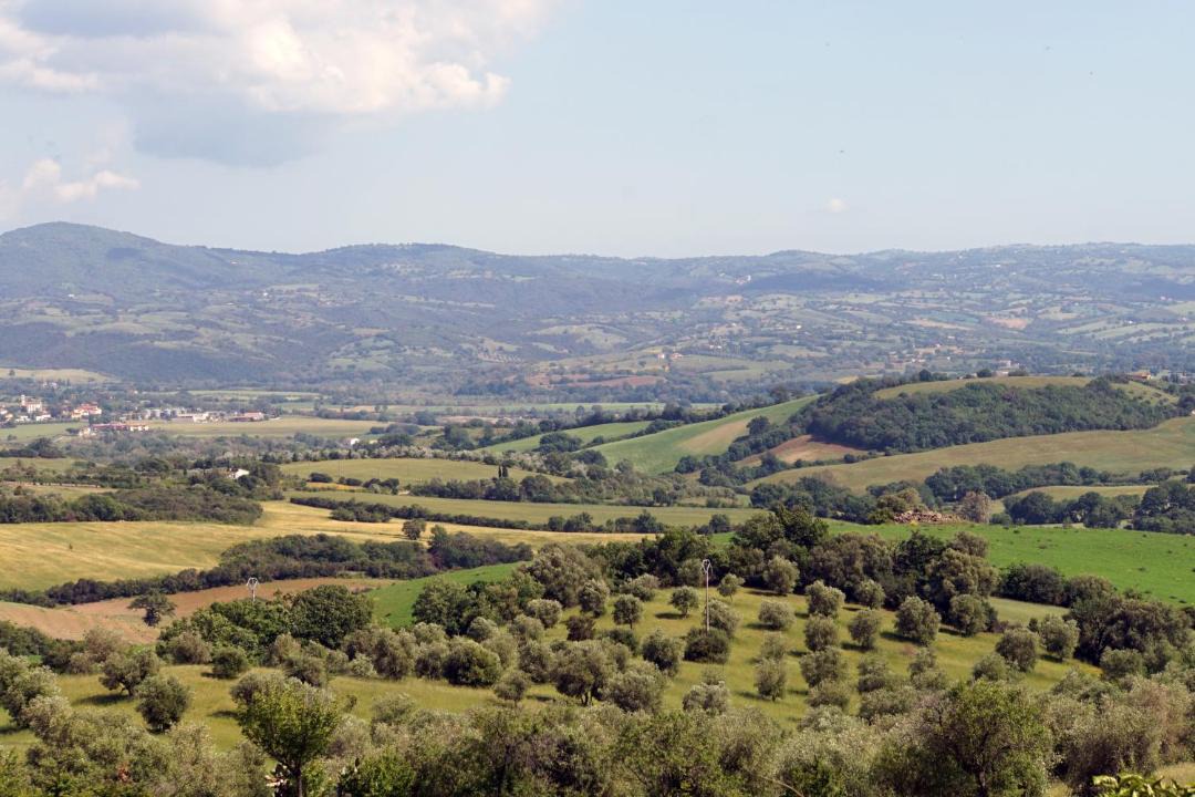 Photo of Others in Campagnatico