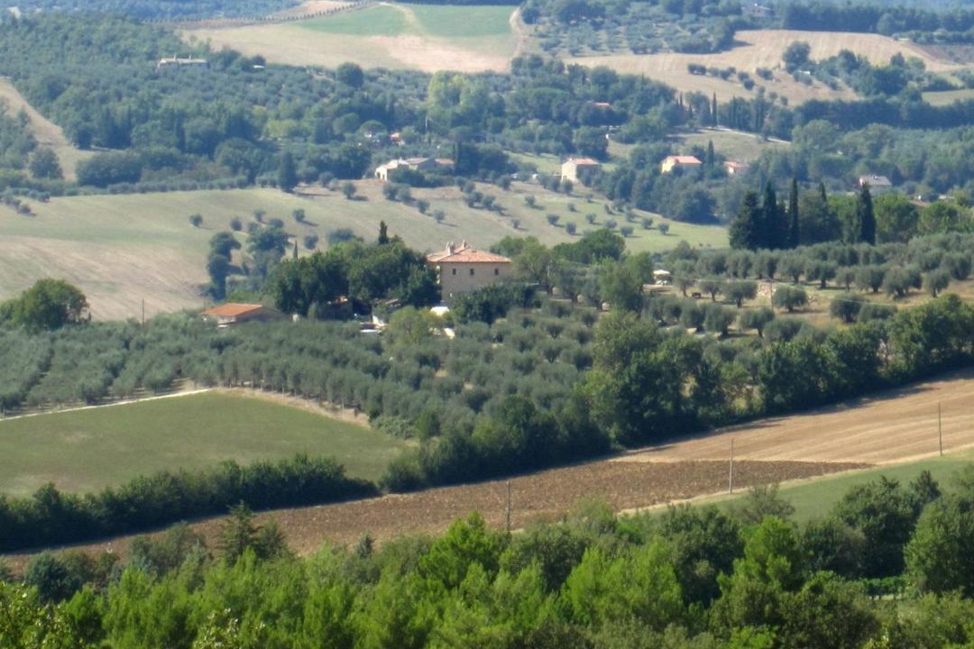 Photo of Others in Collesanto
