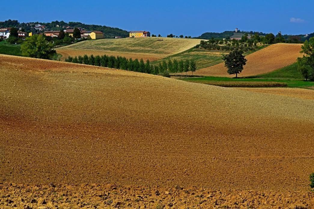 Photo of Others in Rosignano Monferrato