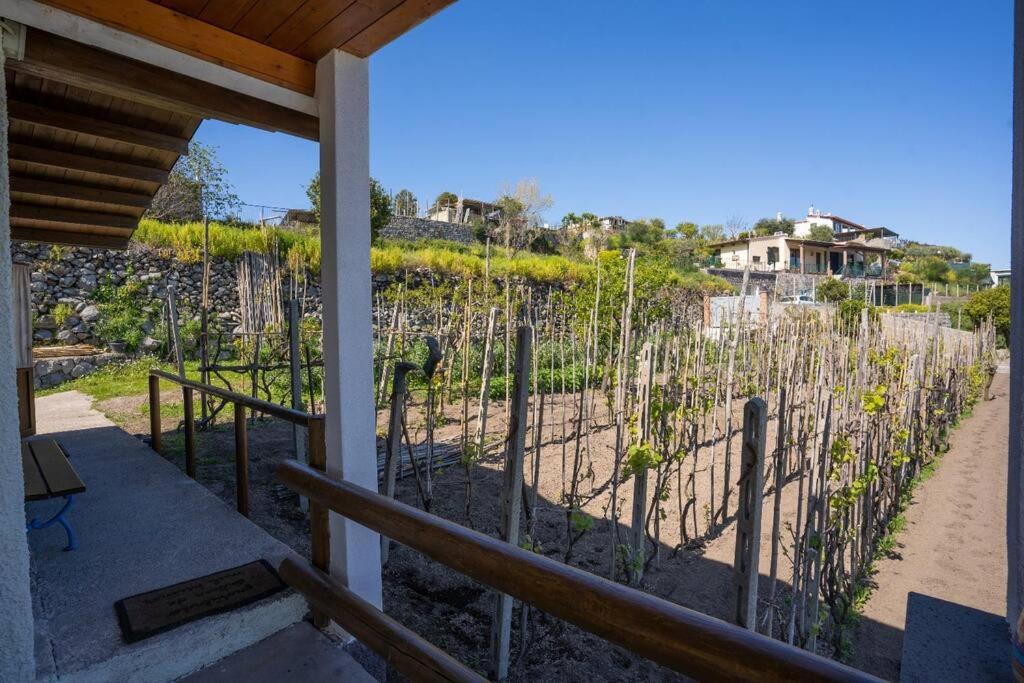 Photo of Patio Balcony in Fiaiano