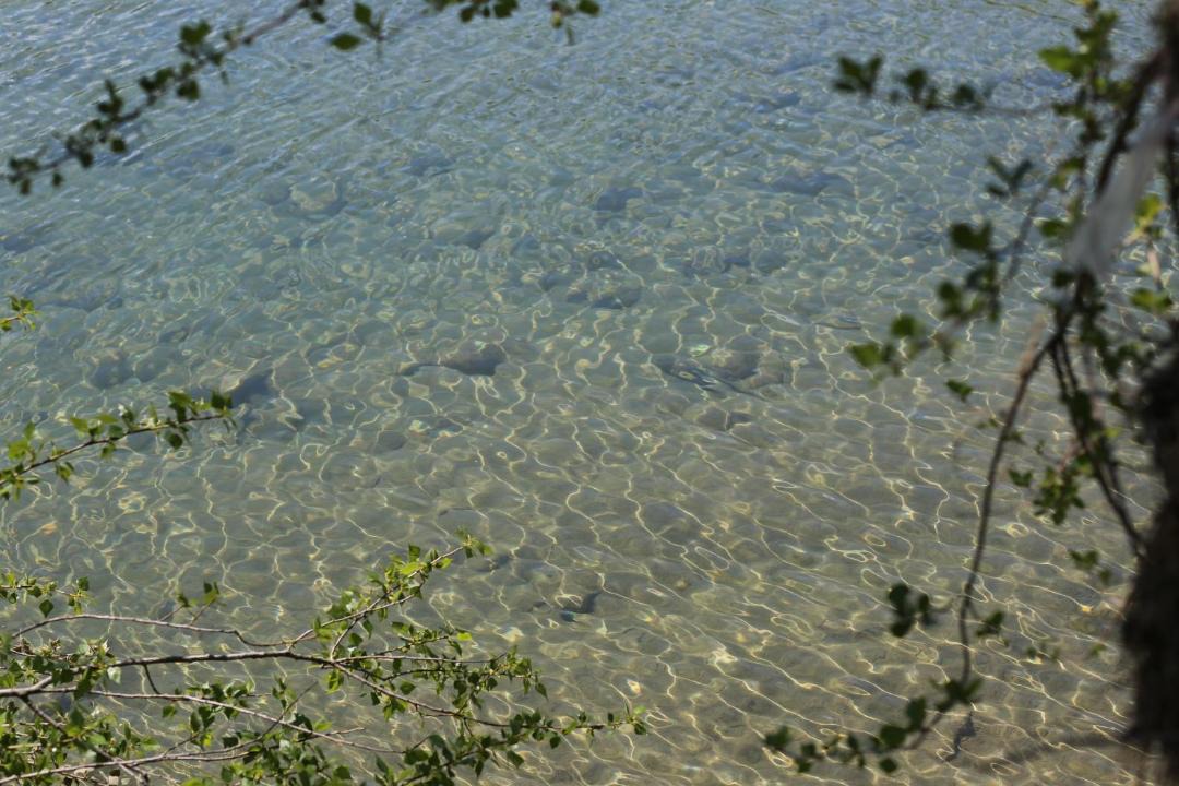 Photo of Others in Aquara