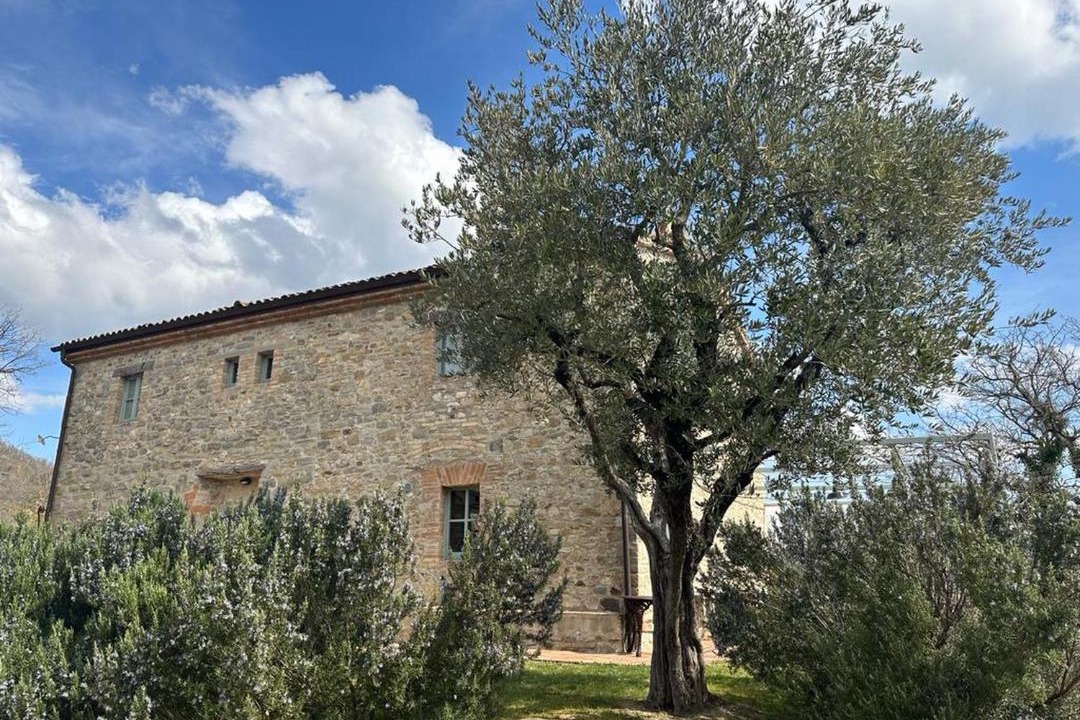 Photo of Others in Montone