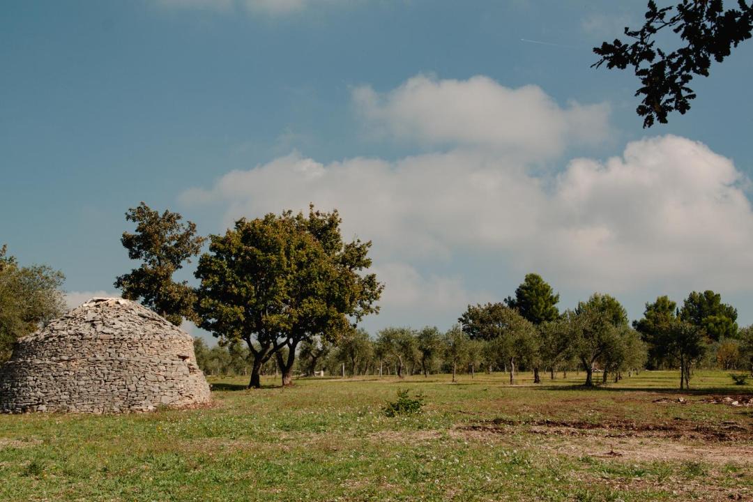 Photo of Others in Montegrosso
