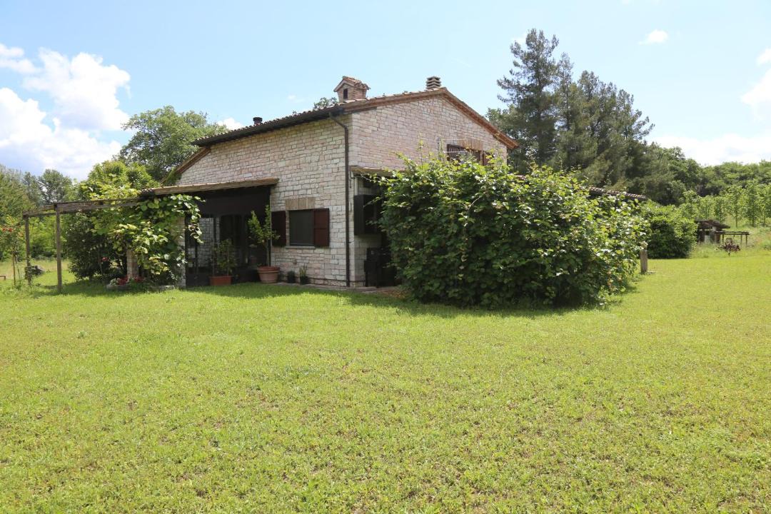 Photo of Others in Cagli