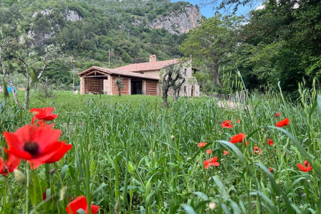 Photo of Others in Montefranco