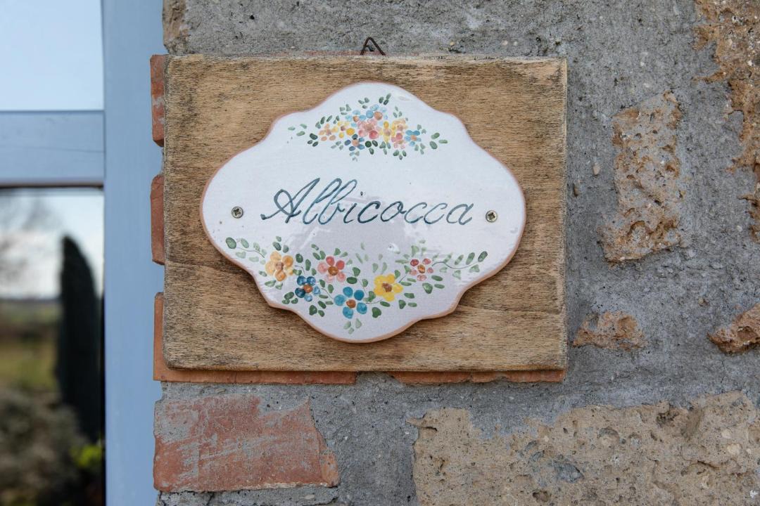 Photo of Others in Montefiascone