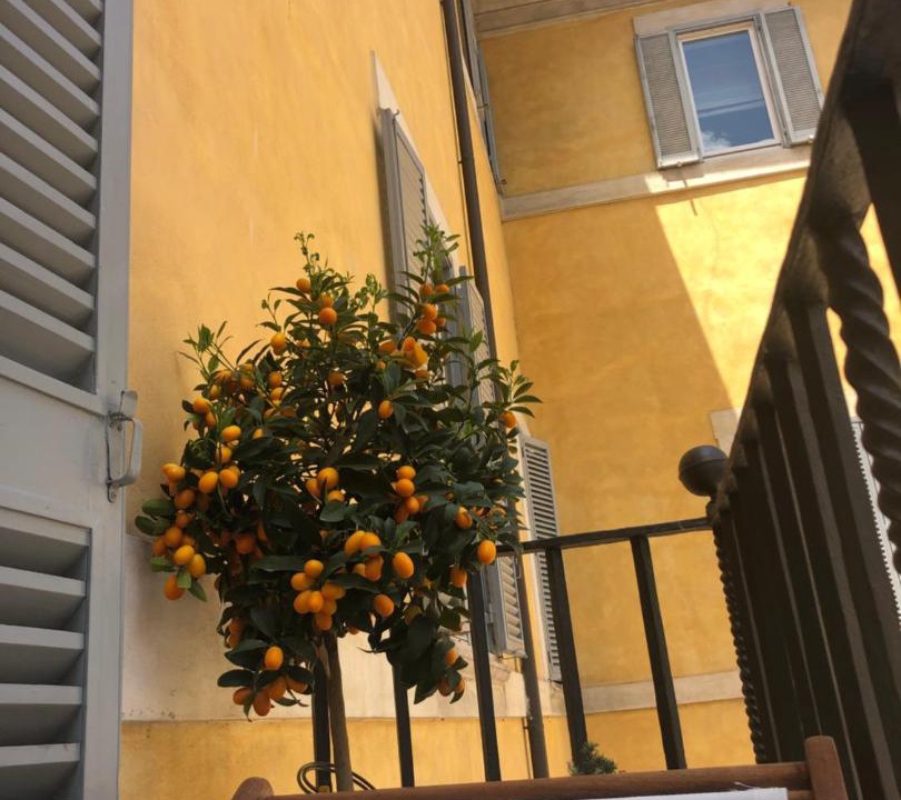 Photo of Buildings in Rione VIII Sant'Eustachio