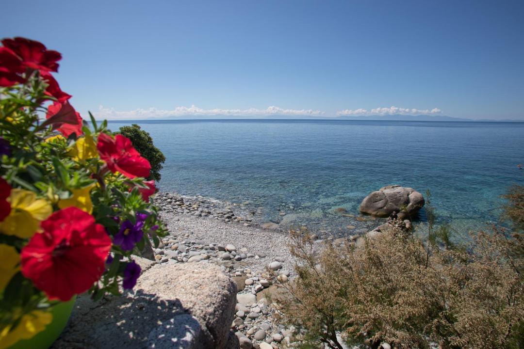Photo of Others in Pomonte