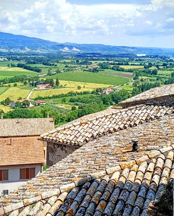 Photo of Others in Castiglione in Teverina
