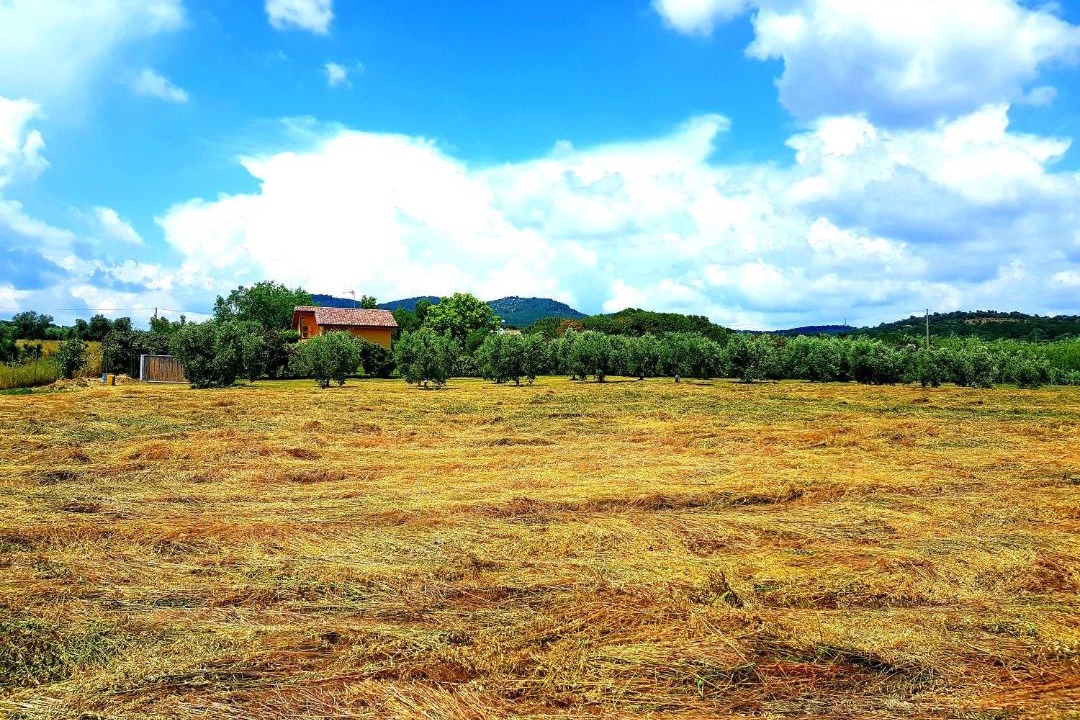 Photo of Others in Musignano