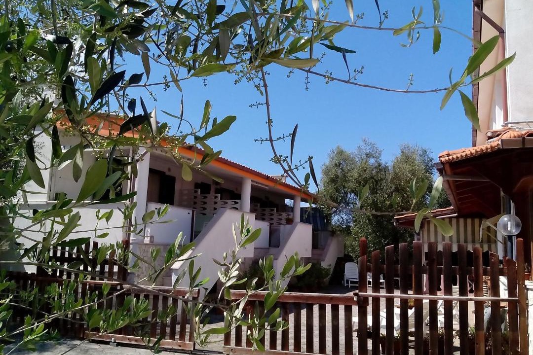 Photo of Others in Defensola