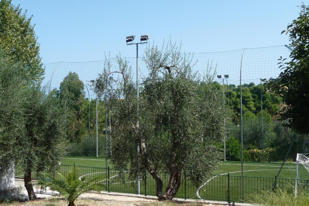 Photo of Others in Vico del Gargano
