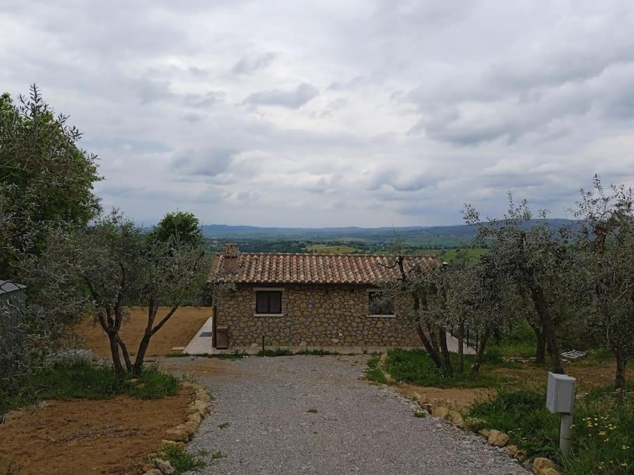 Photo of Others in Semproniano