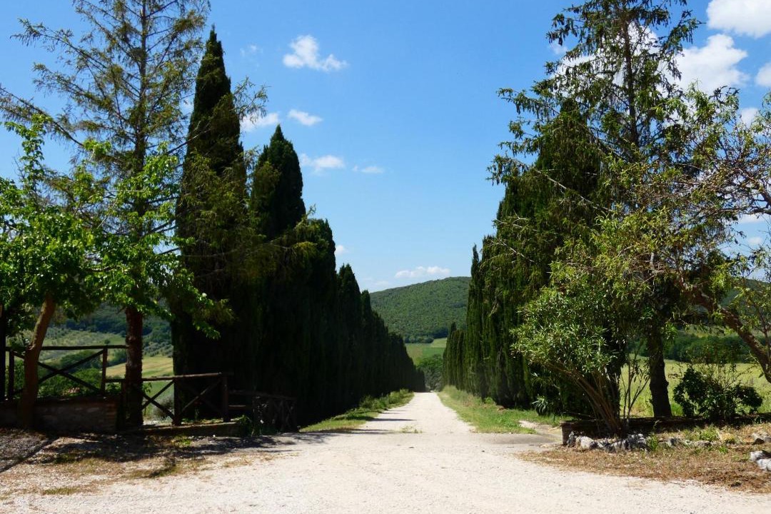 Photo of Others in Montecchio