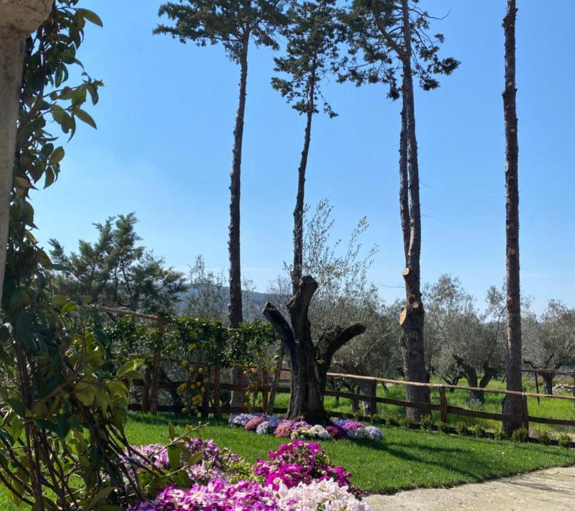 Photo of Others in Albanella